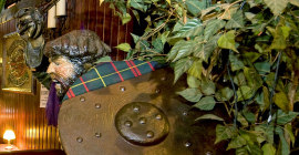 Highlander